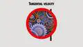 Tangential Velocity: Definition, Formula, Equation, Calculation and ...