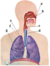 Media Image