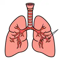 Media Image