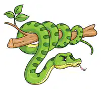 Media Image