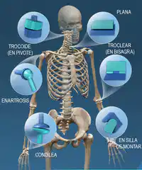 Media Image