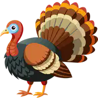 Media Image