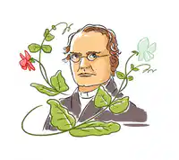 Media Image