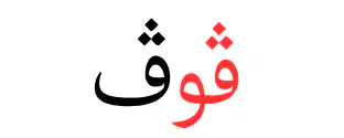 Media Image