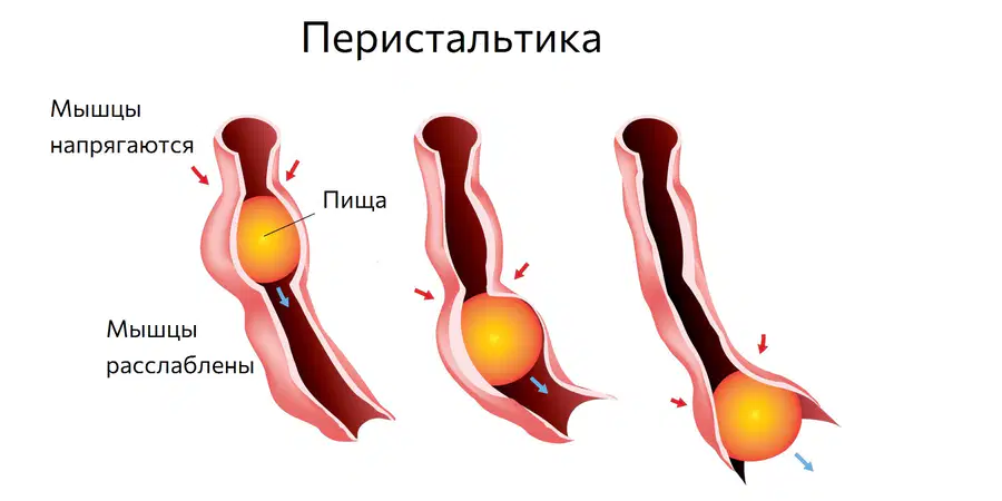 media