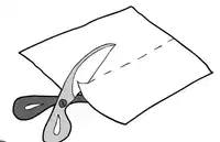 Media Image