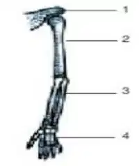 Media Image