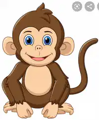 Media Image