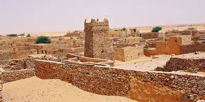 media