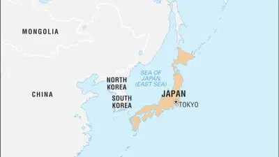 media