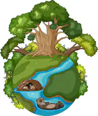 Media Image