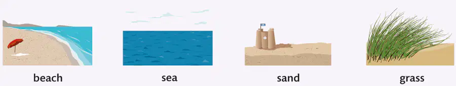 media