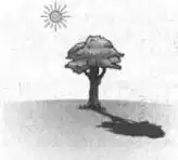 Media Image