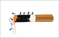 Media Image