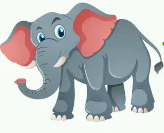 Media Image