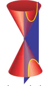 Media Image