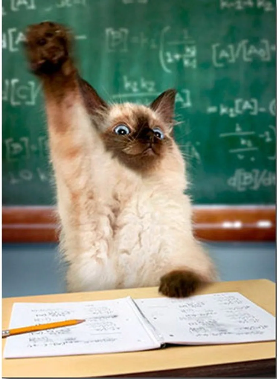 Common Symbols Found on Sectional Charts Quiz Quizizz