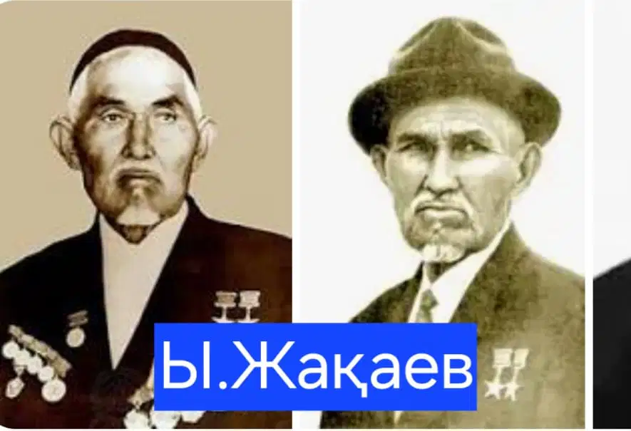 Media Image