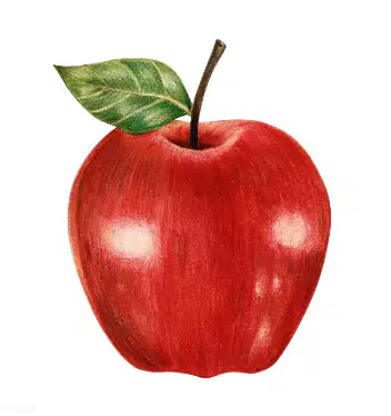 Media Image
