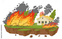 Media Image