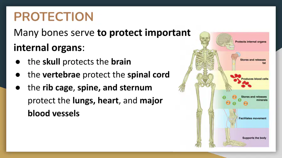 media