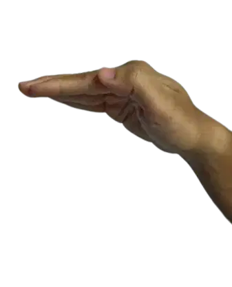 Media Image