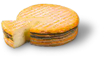 Media Image