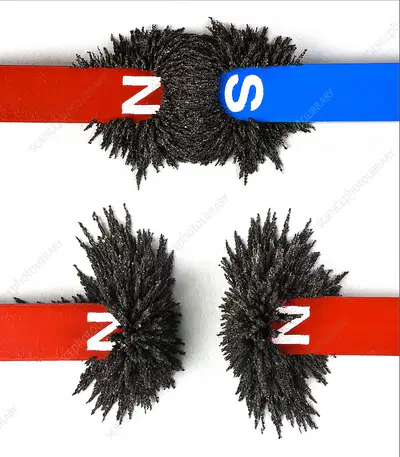 media