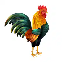 Media Image