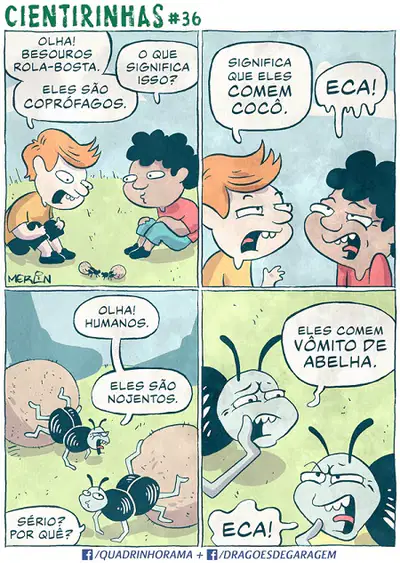 media