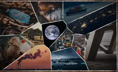 media