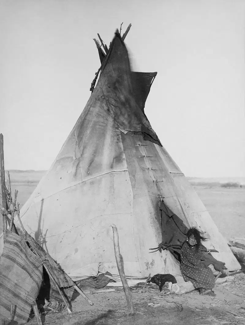 U.S. History: Many Cultures Meet
