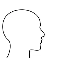 Media Image