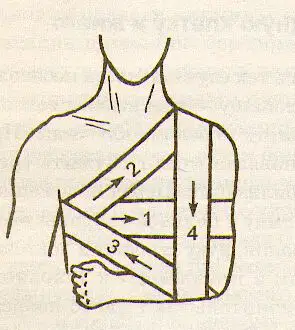 Media Image