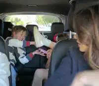 media
