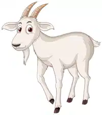 Media Image