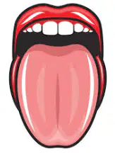 Media Image