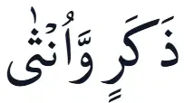 Media Image