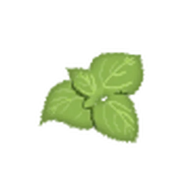 Media Image