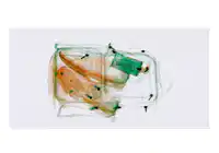 Media Image