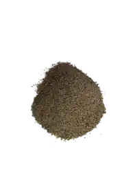 Media Image