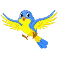 Media Image