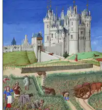 Media Image