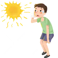 Media Image
