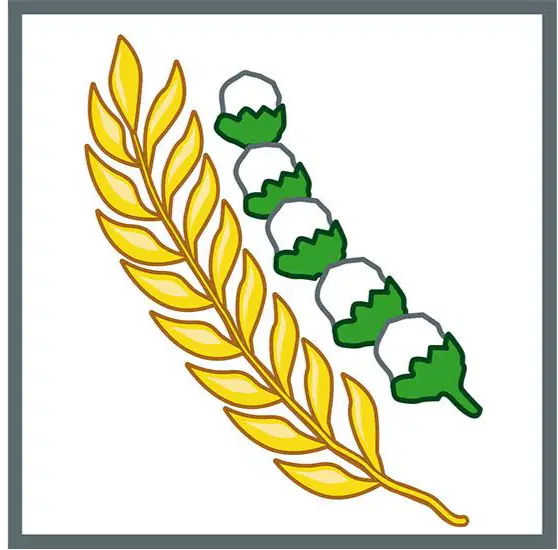 Media Image