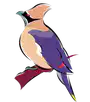 media