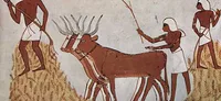 Media Image