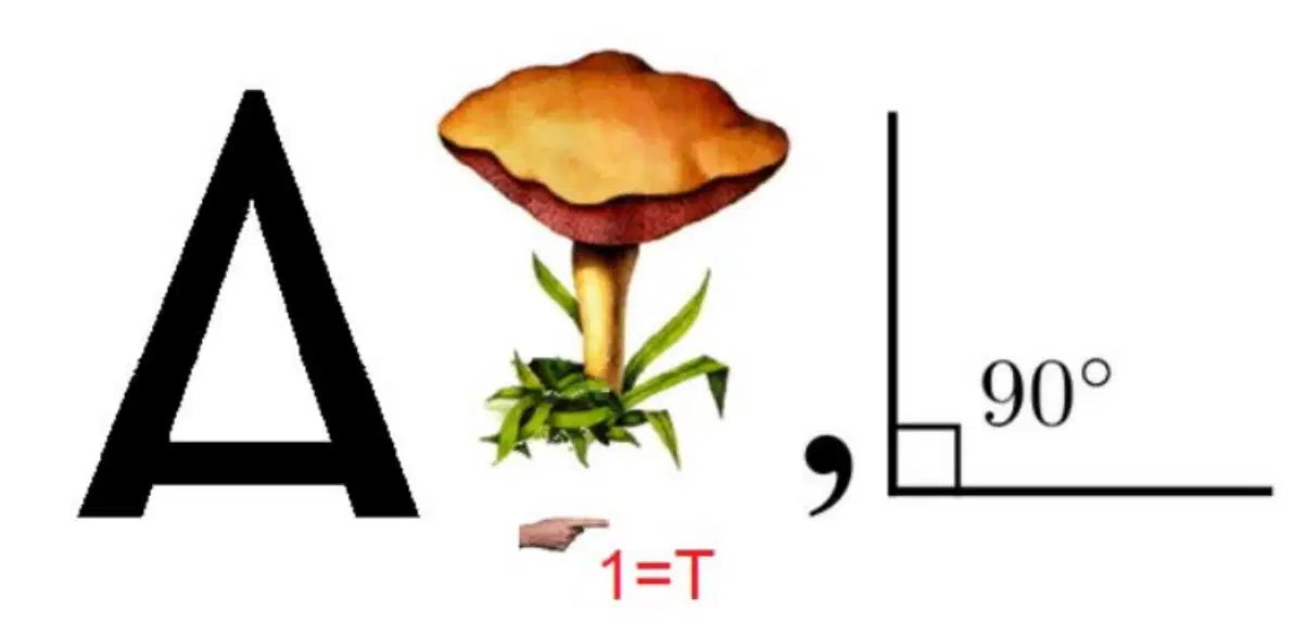 media image