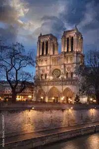 Media Image