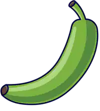Media Image